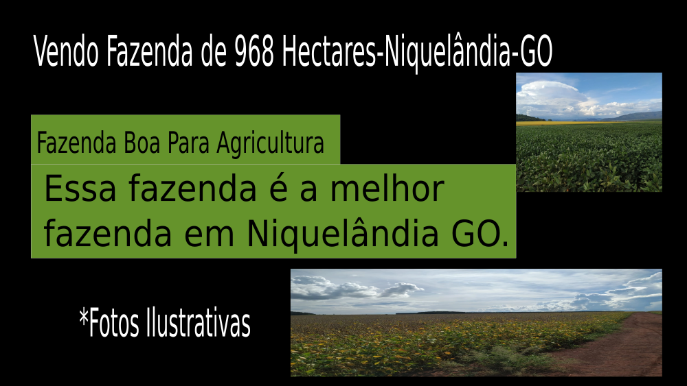 Vendo Fazenda de 968 Hectares-Niquelândia-GO c02
