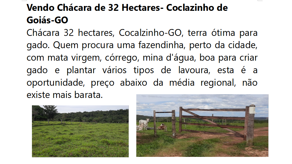 Vendo Chácara de 32 Hectares- Coclazinho-GO (38)
