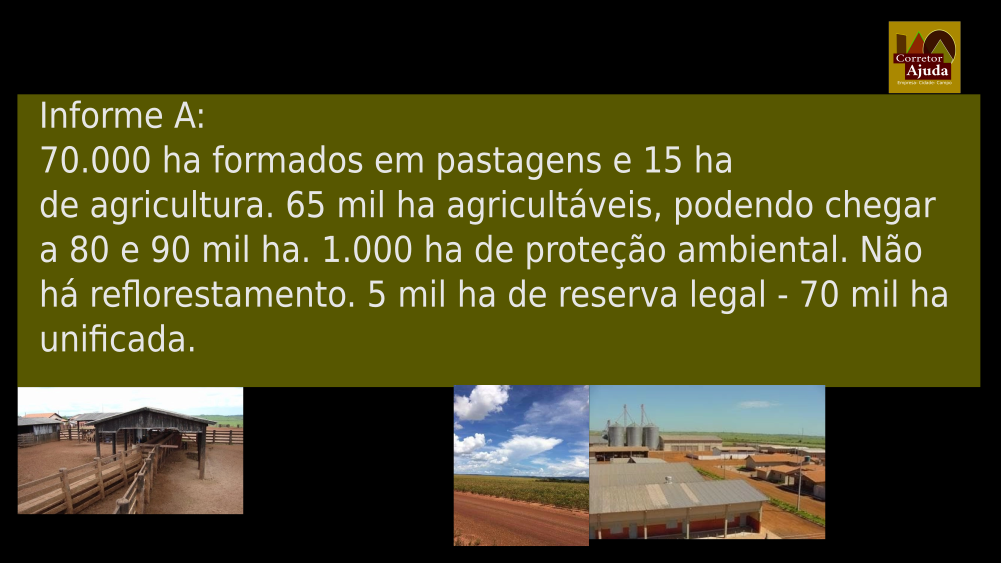 Vendo Fazenda de 121813 Hectares- Região definida-MT (7)