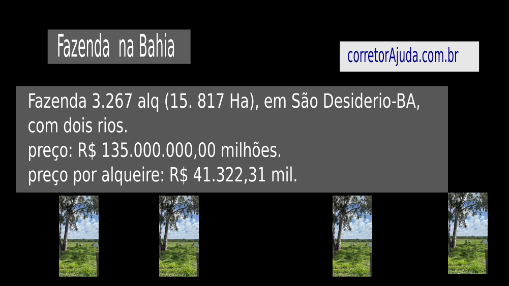 Vendo Fazenda de 15817 Hectares- São Desiderio-BA (3)