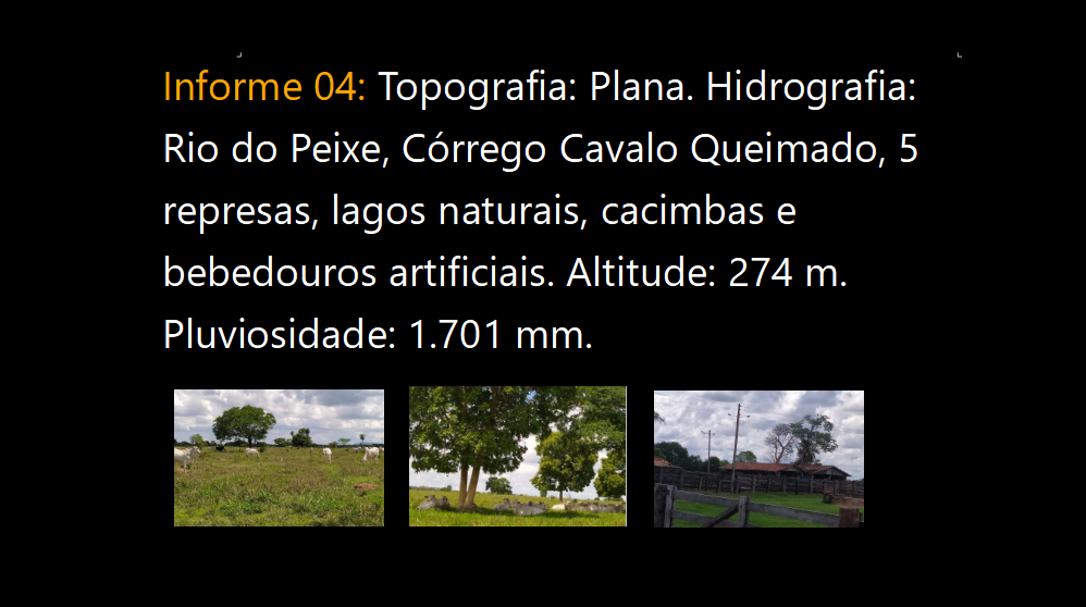 Vendo Fazenda de 2226 Hectares-Araguapaz-GO (2)