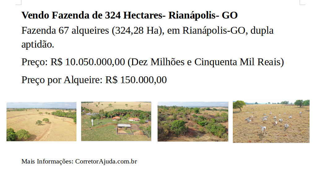 Vendo Fazenda de 324 Hectares- Rianápolis- GO (9)