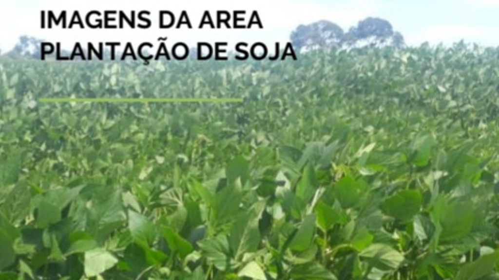 Vendo Fazenda de 438000 Hectares- Bahia (5)