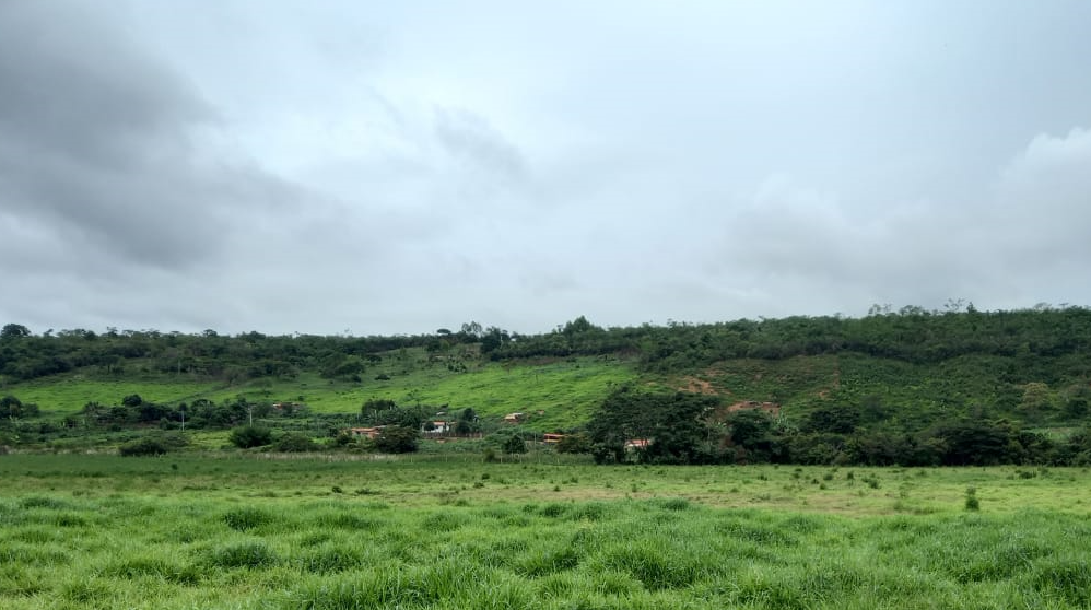 Vendo Fazenda de 6100 Hectares- no Norte de Minas Gerais (20)