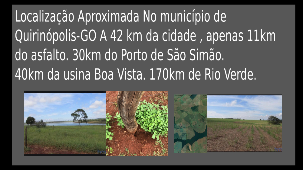 Vendo Fazenda de 842 Hectares- Quirinópolis-GO (12)
