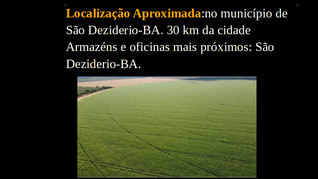 Vendo Fazenda de 958 Hectares- São Desiderio-BA (3)