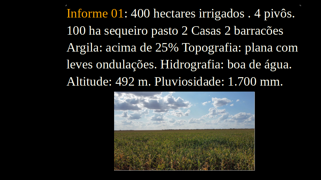 Vendo Fazenda de 958 Hectares- São Desiderio-BA (4)