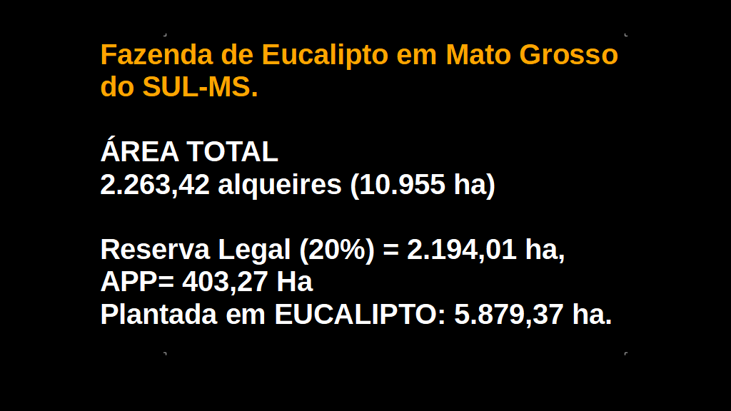 Vendo Fazenda de Eucalipto em Mato Grosso do SUL-MS (1)