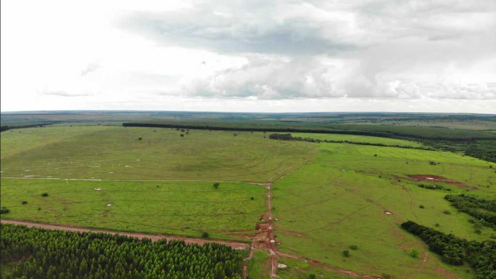 Vendo Fazenda de Eucalipto em Mato Grosso do SUL-MS (12)