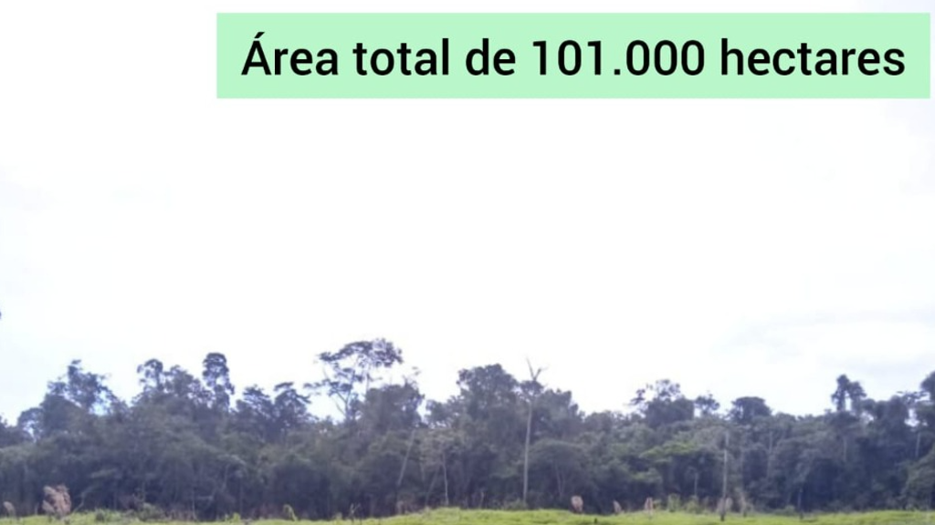 Vendo Fazenda de 101000 Hectares-Colniza-MT -01 (21)