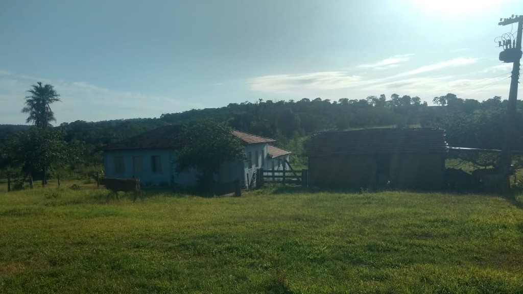 Vendo Fazenda de 118 Alqueires- Campina Verde-MG (8)