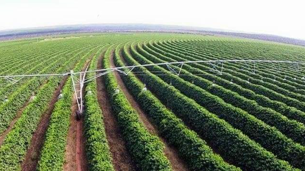 Vendo Fazenda de 2050 Hectares- Minas Gerais (7)