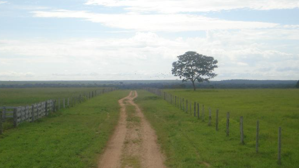 Vendo Fazenda de 21000 Hectares- Diamantino-MT (16)