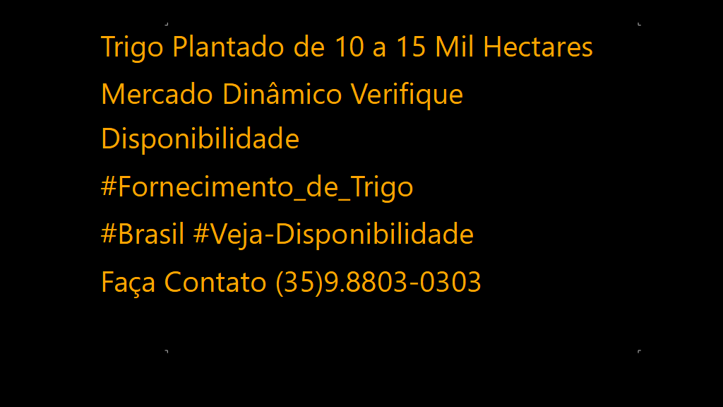 Vendo Fornecimento de Trigo para Mercado Brasileiro 500 Mil Toneladas (2)