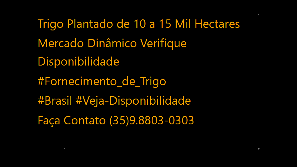 Vendo Fornecimento de Trigo para Mercado Brasileiro 500 Mil Toneladas (4)