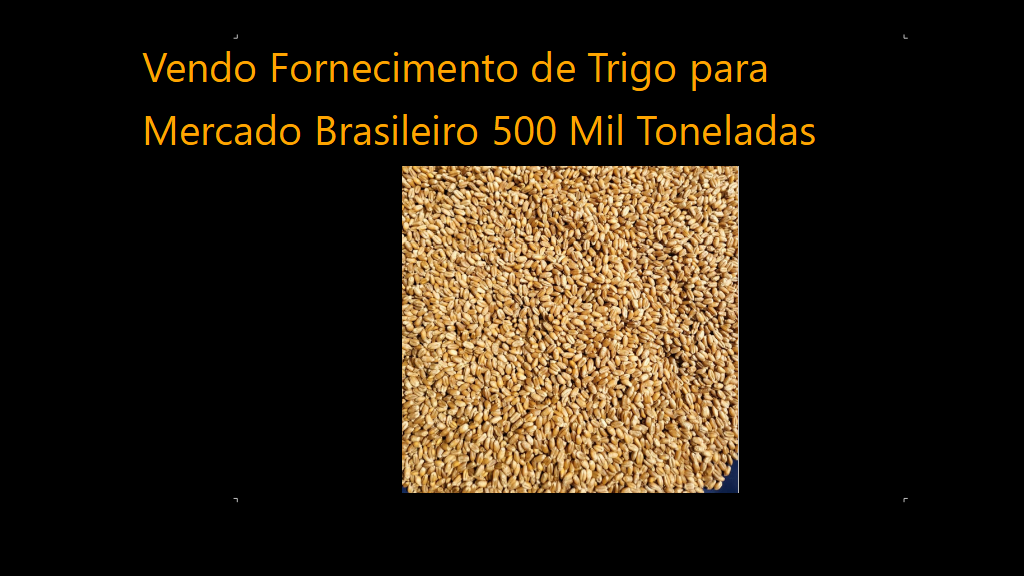 Vendo Fornecimento de Trigo para Mercado Brasileiro 500 Mil Toneladas (7)