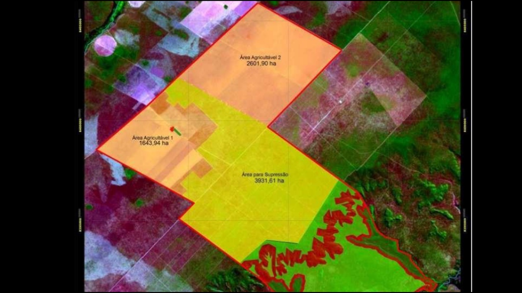 Vendo Fazenda de 13035 Hectares- Côcos-Ba (8)