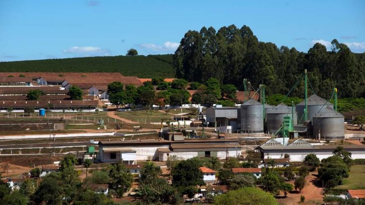 FAZENDA 2000 HECTARES