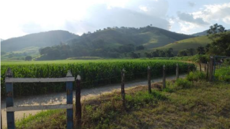 FAZENDA 3000 HECTARES REGIÃO DE PATROCÍNIO 08