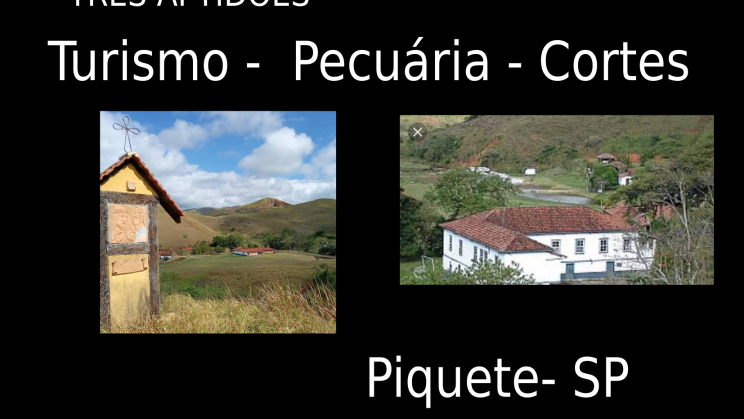 FAZENDA CENTENARIA