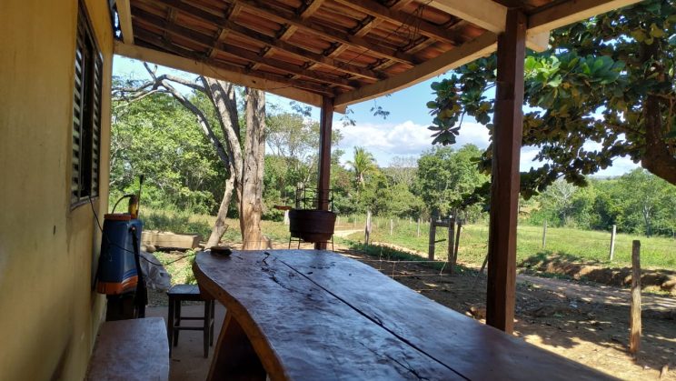 FAZENDA DE 213 HECTARES ABASTECIDA POR 2 CORREGOS 02
