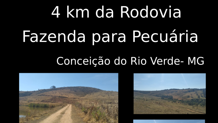 FAZENDA DE 354 HECTARES CONCEICAO DO RIO VERDE