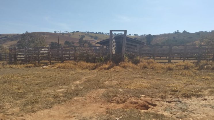 FAZENDA DE 365 HECTARES CONCEIÇÃO DO RIO VERDE -MG 01
