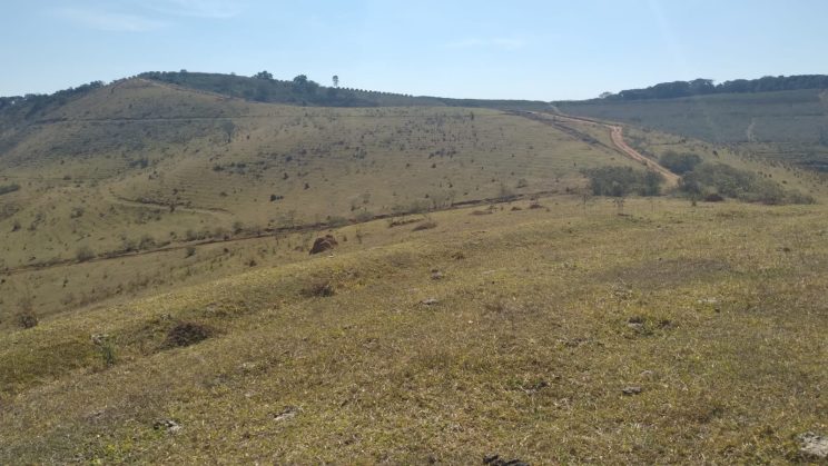 FAZENDA DE 365 HECTARES CONCEIÇÃO DO RIO VERDE -MG 015