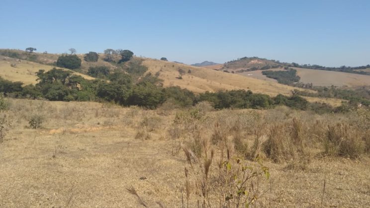FAZENDA DE 365 HECTARES CONCEIÇÃO DO RIO VERDE -MG 06