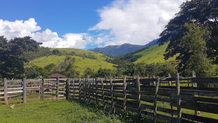 FAZENDA EM AREAIS 1560 HECTARES20 km da Dultra 3 km do asfalto 25_018