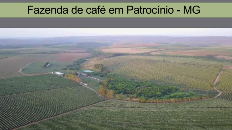 FAZENDA PATROCINIO-MG CAFECULTURA E CIA 011