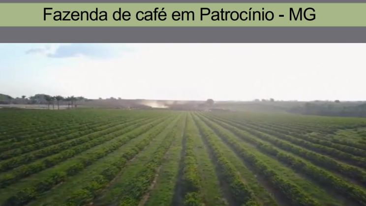 FAZENDA PATROCINIO-MG CAFECULTURA E CIA 012