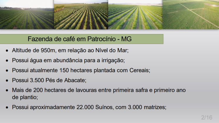FAZENDA PATROCINIO-MG CAFECULTURA E CIA 02