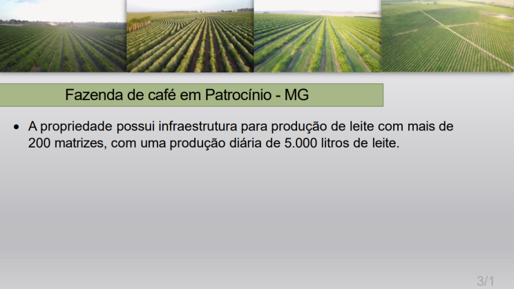 FAZENDA PATROCINIO-MG CAFECULTURA E CIA 03