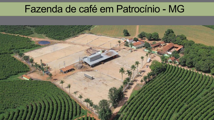 FAZENDA PATROCINIO-MG CAFECULTURA E CIA 04