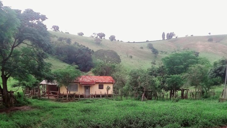 SITIO DE 38 HECTARES SOLEDADE DE MINAS 06