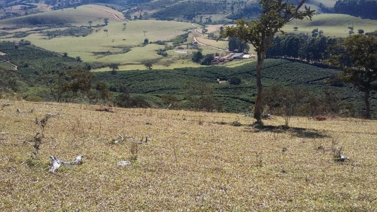 Vende se Fazenda 791 hectares 028