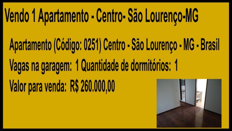 Vendo Apartameto 01 Quarto 01 Garagem -Centro - São Lourenço-MG (10)