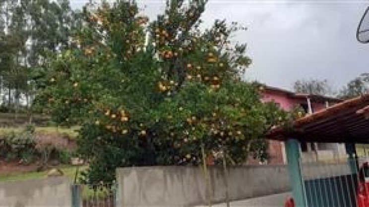 Vendo Casa 03 -Dormitórios- Dom Viçoso-MG 01 (12)