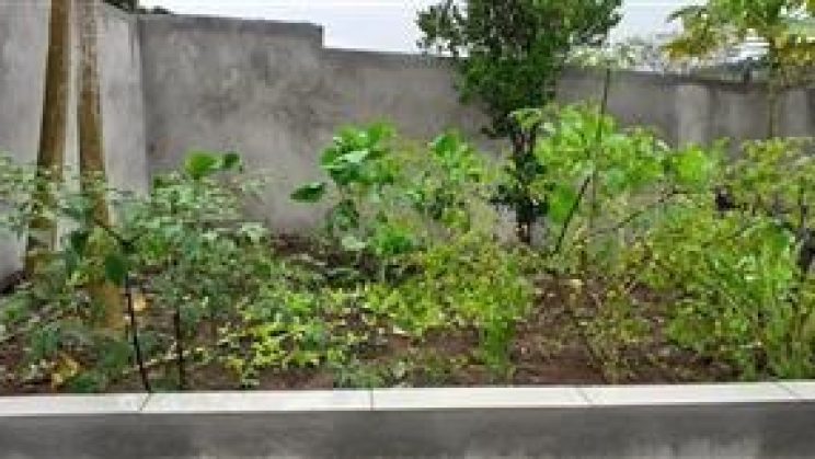 Vendo Casa 03 -Dormitórios- Dom Viçoso-MG 01 (2)