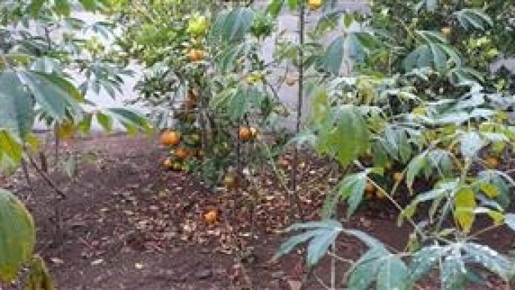 Vendo Casa 03 -Dormitórios- Dom Viçoso-MG 01 (3)