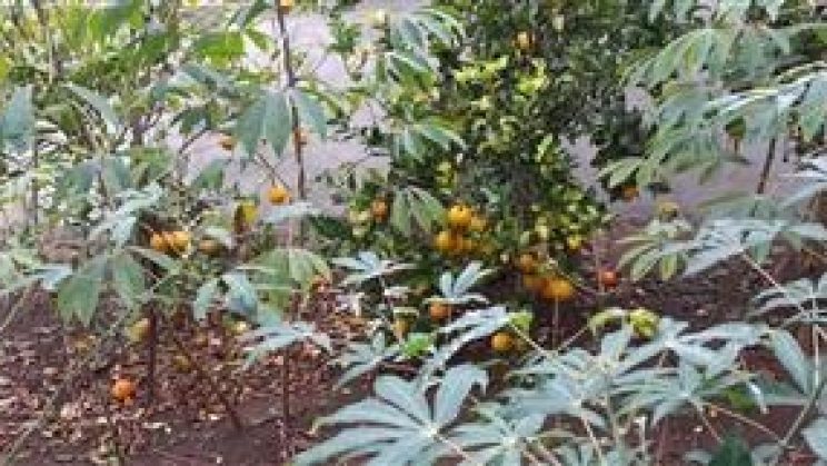 Vendo Casa 03 -Dormitórios- Dom Viçoso-MG 01 (4)