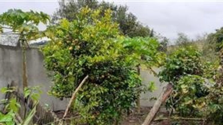 Vendo Casa 03 -Dormitórios- Dom Viçoso-MG 01 (5)