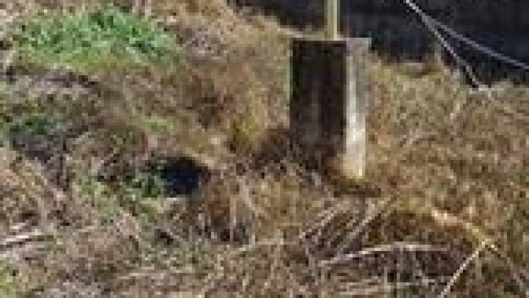 Vendo Casa 3 Dormitórios- Vila Carneiro- São Lourenço-MG a 001 (8)