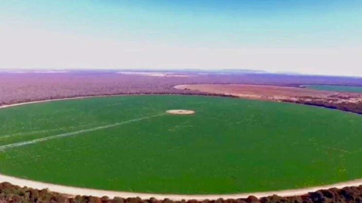 Vendo Fazenda 5800 Hectares- Santana-BA (16)