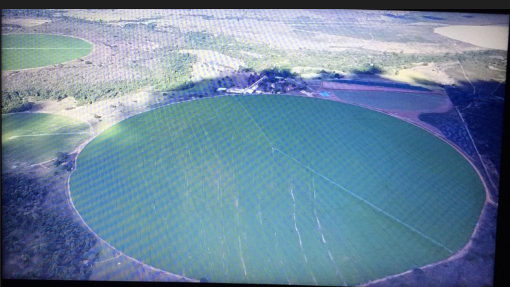 Vendo Fazenda Leiteira de 940 Hectares- João Pinheiro-MG (11)