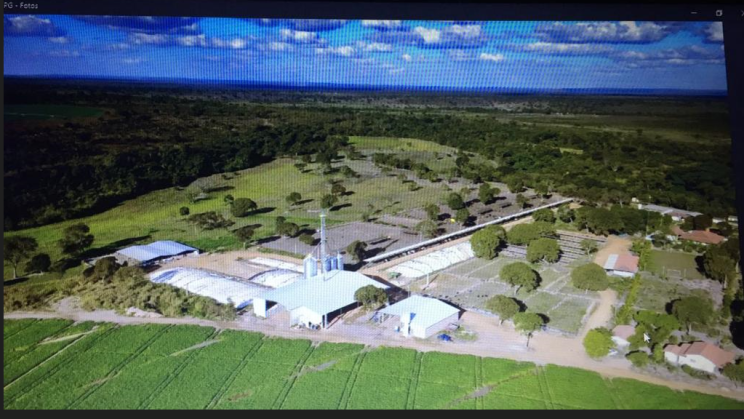 Vendo Fazenda Leiteira de 940 Hectares- João Pinheiro-MG (19)
