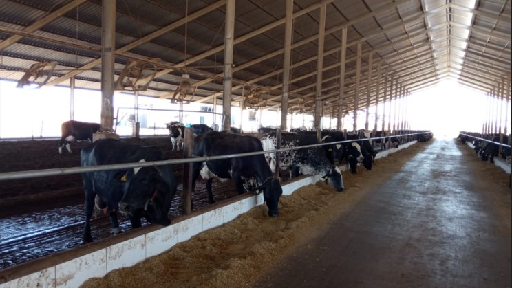 Vendo Fazenda Leiteira de 940 Hectares- João Pinheiro-MG (7)