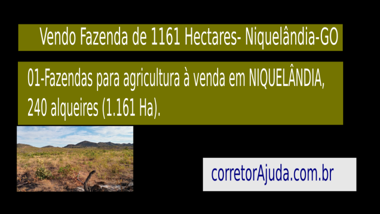 Vendo Fazenda de 1161 Hectares- Niquelândia-GOc014