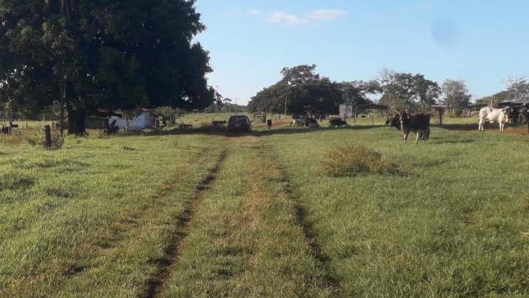 Vendo Fazenda de 118 Alqueires- Campina Verde-MG (6)